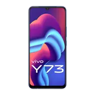 Vivo Y73